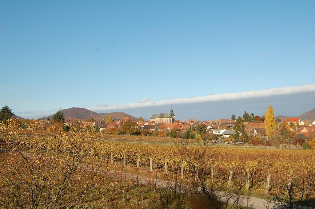Gaestehaus Kleine Kalmit Landau in der Pfalz Esterno foto